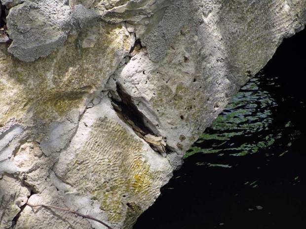 The Life of Stone Arch Bridges