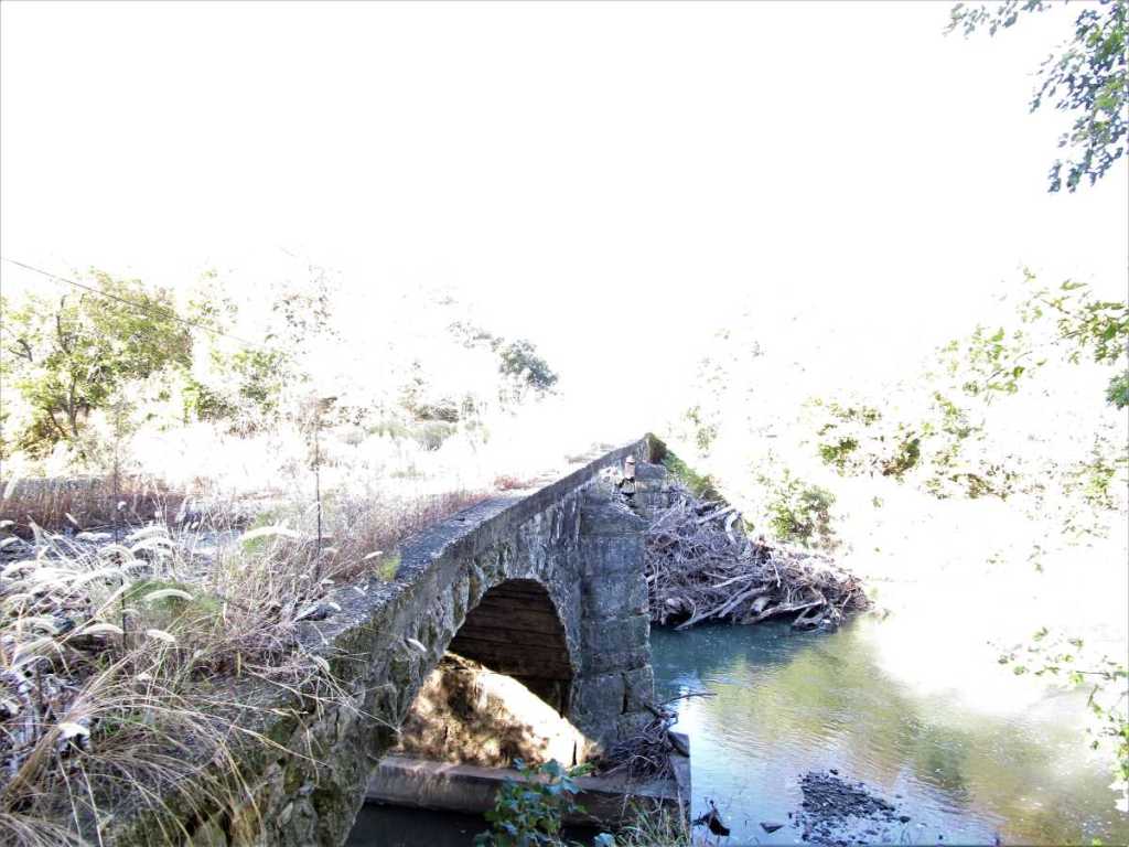 Partial Collapse of Pudden Bridge