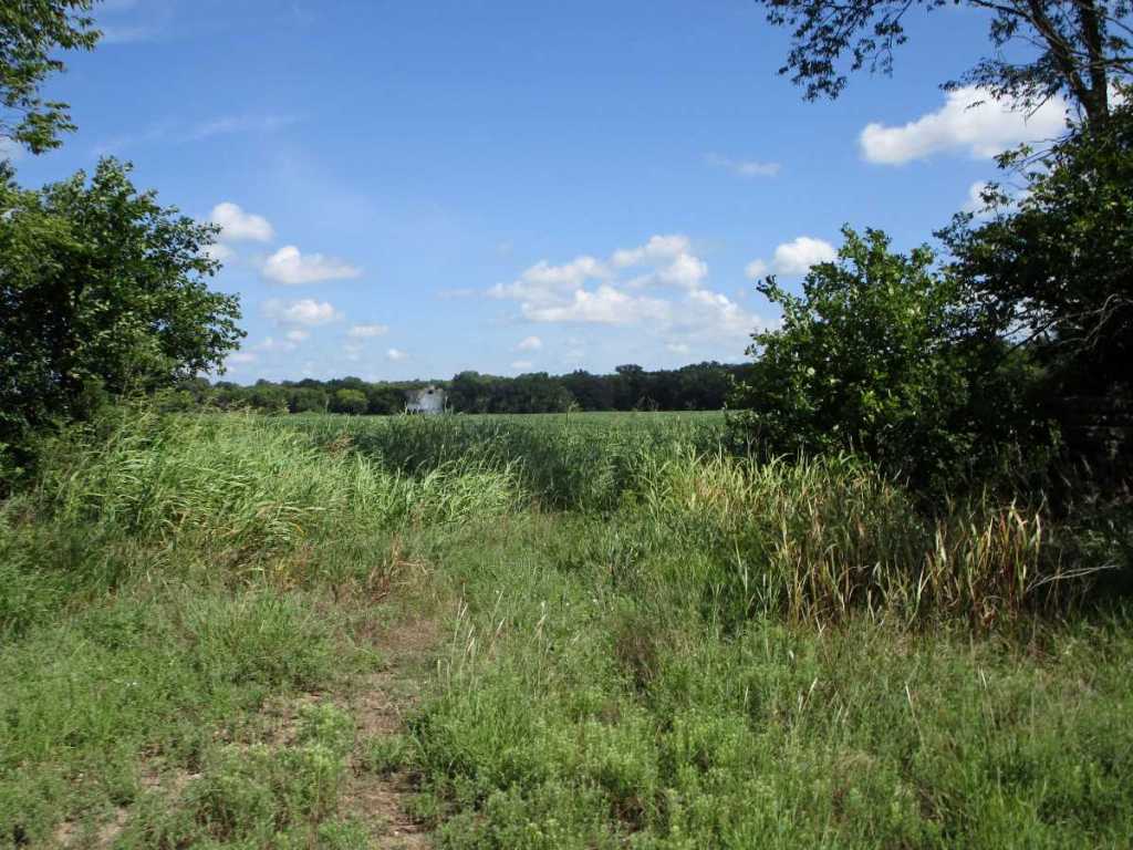 Whitewater Falls Stock Farm