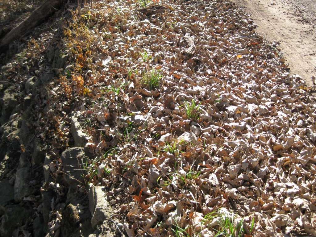 Drystack retaining wall