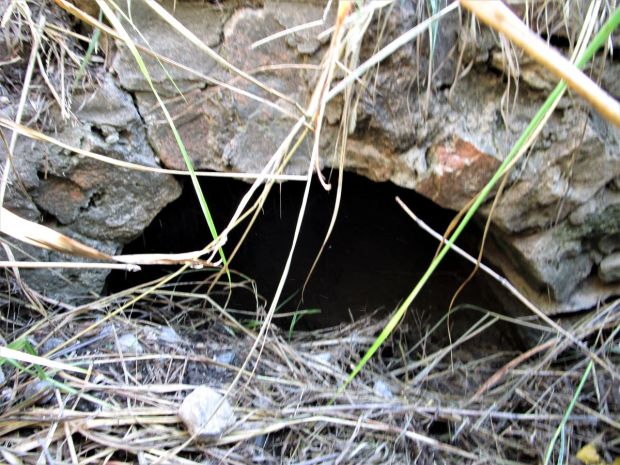 Dexter Township 182nd Road Culvert (2)